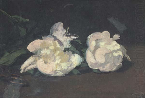 Edouard Manet Branch of White Peonies and Shears (mk40) china oil painting image